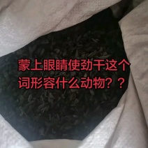 东北木耳牙子碎大量批发电商供货源头基地地摊团购一手货源便
