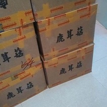 头茬好货，放心吃！