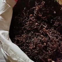 红微菜做工精质的高山野生干薇菜