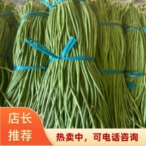 安徽宿州埇桥精品青条长豆角产地大量大