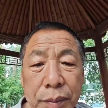 红薯粉条手工粉条，没有胶，试吃产品包邮