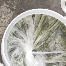 西蒙韭花酱，十公斤150元，产地直供！