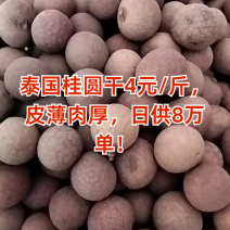 厂家直销电商批发桂圆干品质超好质优价廉可按要求贴牌定制