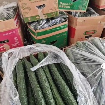 黄瓜，密刺青心干花油亮黄瓜，支持视频看货.产地直发