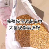 精品碎玉米净粮无土无沙，无霉变，过筛除尘