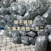 羽衣甘蓝