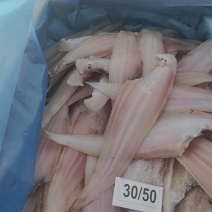 比目鱼鳎目鱼舌头鱼龙利鱼去皮去内脏