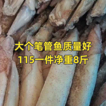 【推荐】单冻笔管鱼对接全国可视频看货欢迎下单咨询