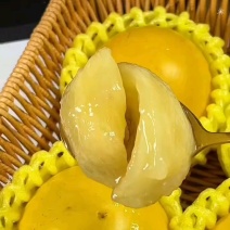 黄晶果批发代发全国发！