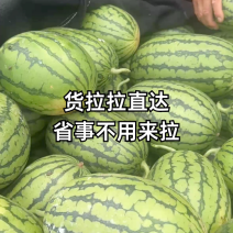 【潍坊全美2k西瓜】山东地爬瓜现摘现发一手货源品质保证