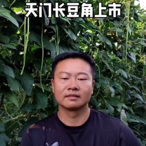 【天门产地直发】新鲜嫩绿豇豆条直肉厚无筋货源充足