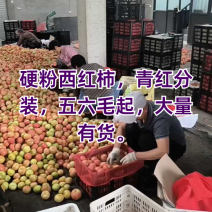 山东西红柿，产地直发，对接各大商超电商，量大从优