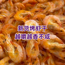 30-40烤虾干，一箱净重16斤，散烤，中号，规格齐全