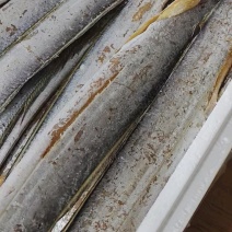 青岛淡晒大刀鱼干带鱼干咸带鱼油带鱼干风干鱼