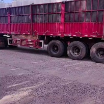 作为供应商，乌兰察布裸燕麦米的品质确实让人放心——每粒都
