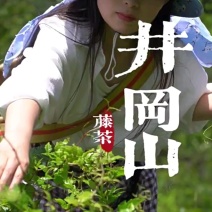 井冈山野生藤茶莓茶嫩叶散装批发产自井冈山市深山老林无农残
