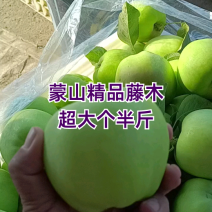 山东藤木青苹果〔优选〕产地现摘现发货55起步可对接电商市