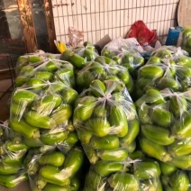 青茄子，产地直销，质量保证，品种齐全。全国代发，来电咨询