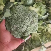 西蓝花，常年供应【精品西蓝花】，型好，颜色鲜绿
