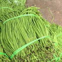 豇豆长豆角泡豇豆大量上市，价格优，质量好