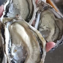 7月5日刚到货，1.5加起分选中