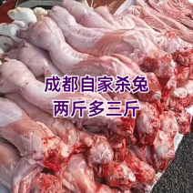 /think成都新鲜兔，2-3斤多规格，每日有货