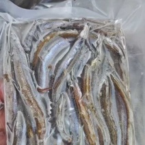 小银鱼，方便快捷支持饭店支持批发零售货源