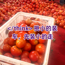 大红西，粉红西红柿。产地视频看货，一手货源，以质伦价，