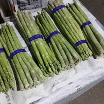 芦笋精品芦笋新鲜嫩绿精品货源大小齐全欢迎咨询