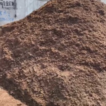 厂家直销酒糟，大厂家好质量