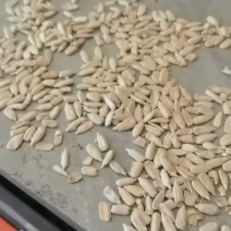 巴彦淖尔花魁仁，50斤包装，价格不高