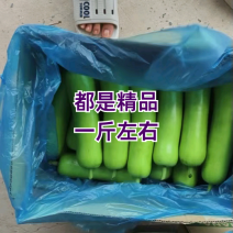 海门基地瓠子（户子），自产自销，基地直供，价格实惠
