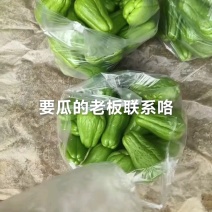 精品云南佛手瓜大量上市产地装车量大从优诚信经营致**系