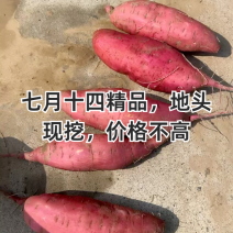 精品济薯33产地直发，各种规格各种包装质量保证质量三包