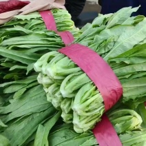 好货小圆根，无干尖无梗子