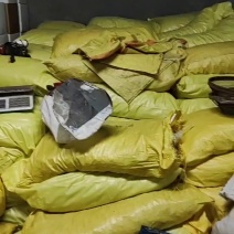 蔚县土特产一手货源优质串红大杏干3厘米左右