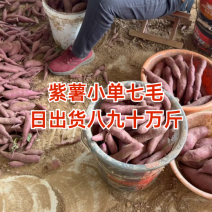 紫罗兰红薯，各种规格，万亩基地，承接各大平台市场电商