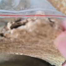 豆饼片状豆饼