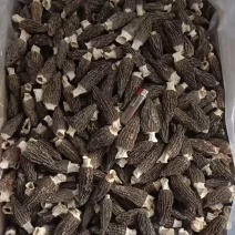 【产地好货】羊肚菌干货头茬7至10cm原产地直发羊肚菌