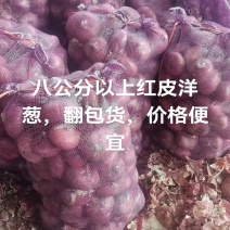 洋葱，红黄洋葱，电商，国内市场，专业国外出口。一手货源