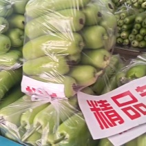 河北邯郸孤瓜大量上市，供应商超，食堂，市场，代发全国各地