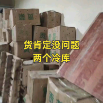 精品贡菜，苔干，产地货源，自然凉晒，欢迎下单，量大从优。