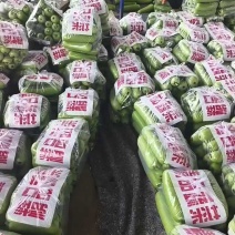 本地瓠瓜大量上市，质量保证，有需要的老板联系