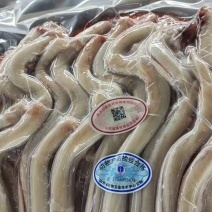 山东济南精修羊鞭，一板一公斤，烧烤羊汤馆超合适！