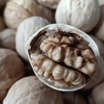 2026新货新疆纸皮核桃幸福核桃185核桃果仁饱满品质好