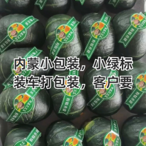粉糯香甜源头贝贝，本合作社一年365天基地不断货