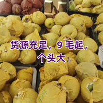 砀山翠玉，翠冠，大量上市，货源充足，质量好口感脆甜，