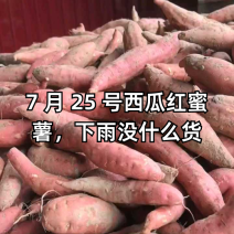 河南西瓜红龙薯红薯沙地蜜薯供应各大超市电商平台现货先发