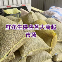 河南开封鲜花生大量供应