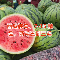 河南省夏邑县美都西瓜，保熟，保甜，量大，产地直销，